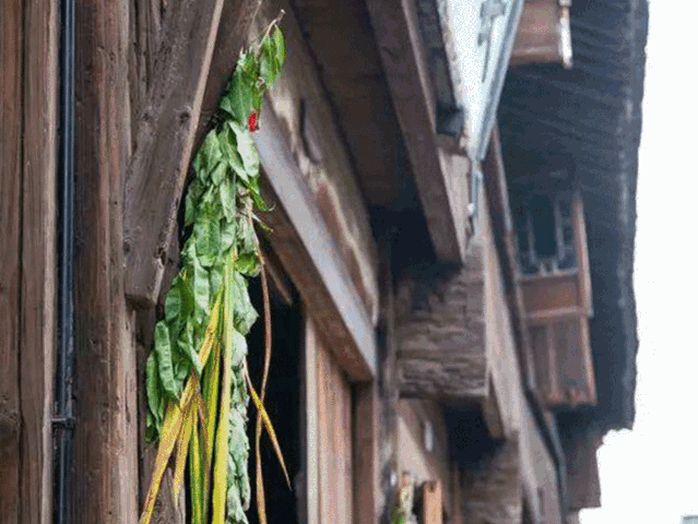 Ê×Ò³|×ðÁú¼¯ÍÅÖйú¹Ù·½ÍøÕ¾