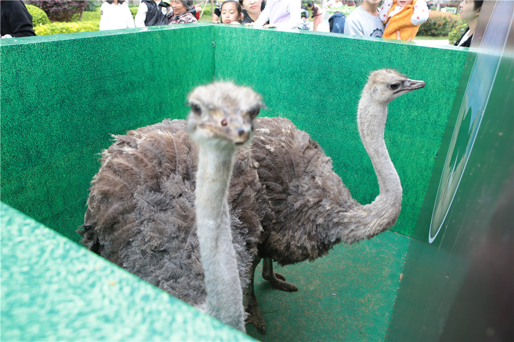 ��ҳ|���������й��ٷ���վ