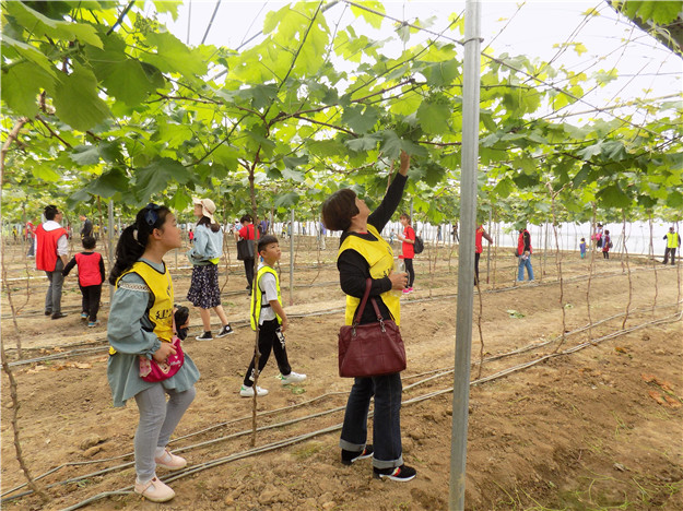 首页|尊龙集团中国官方网站