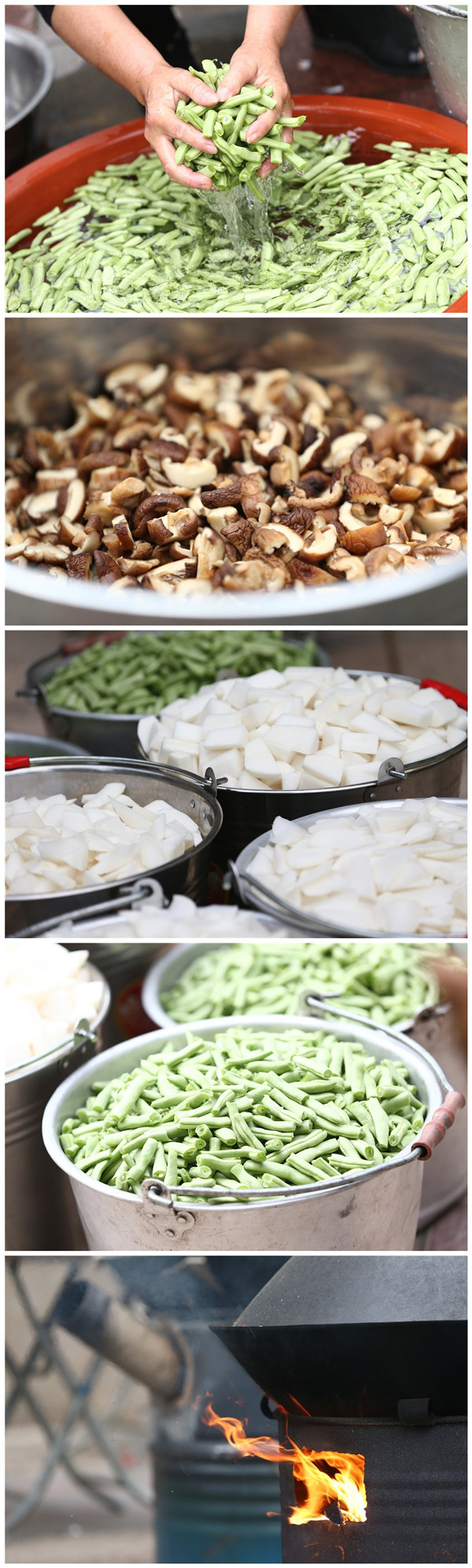 ��ҳ|���������й��ٷ���վ