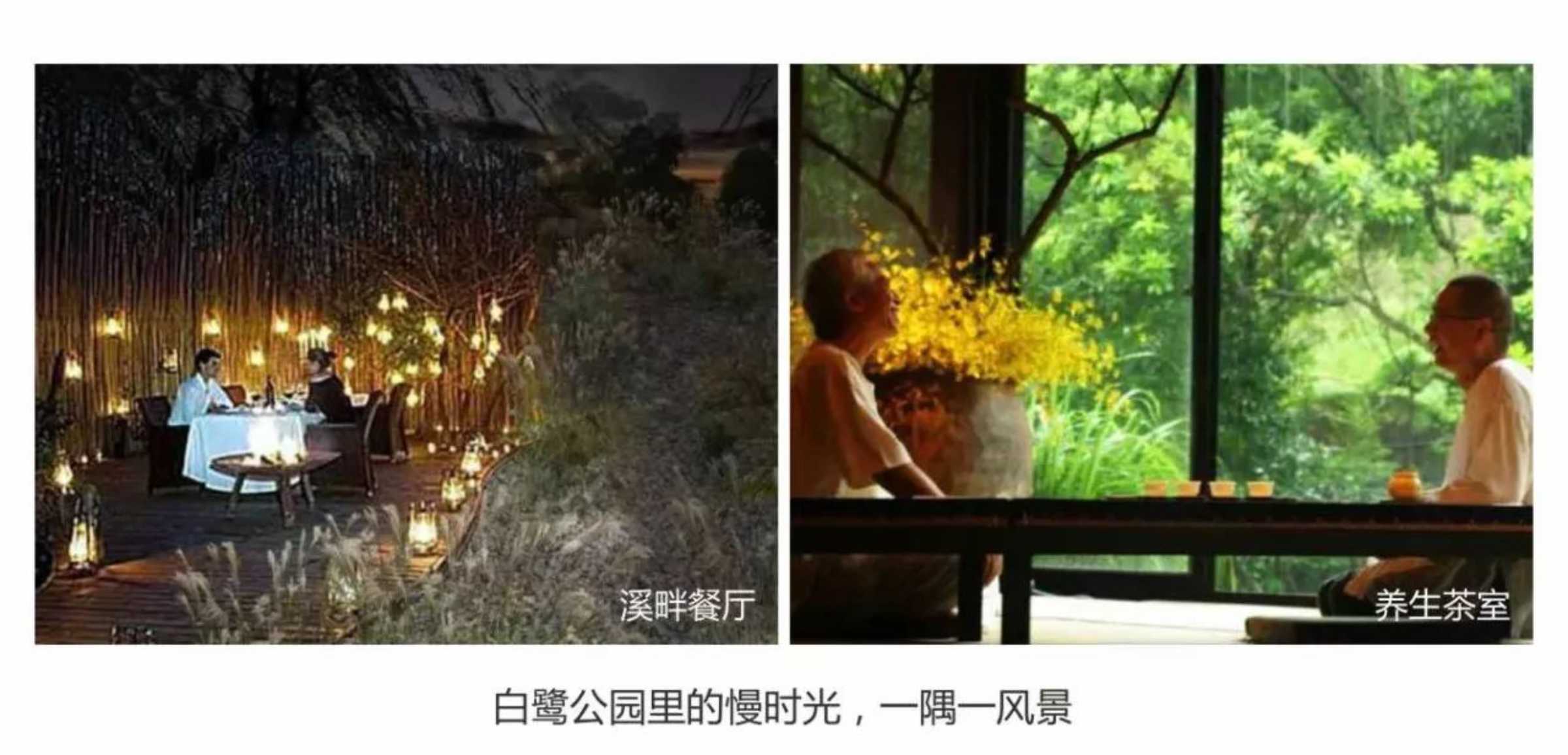 首页|尊龙集团中国官方网站