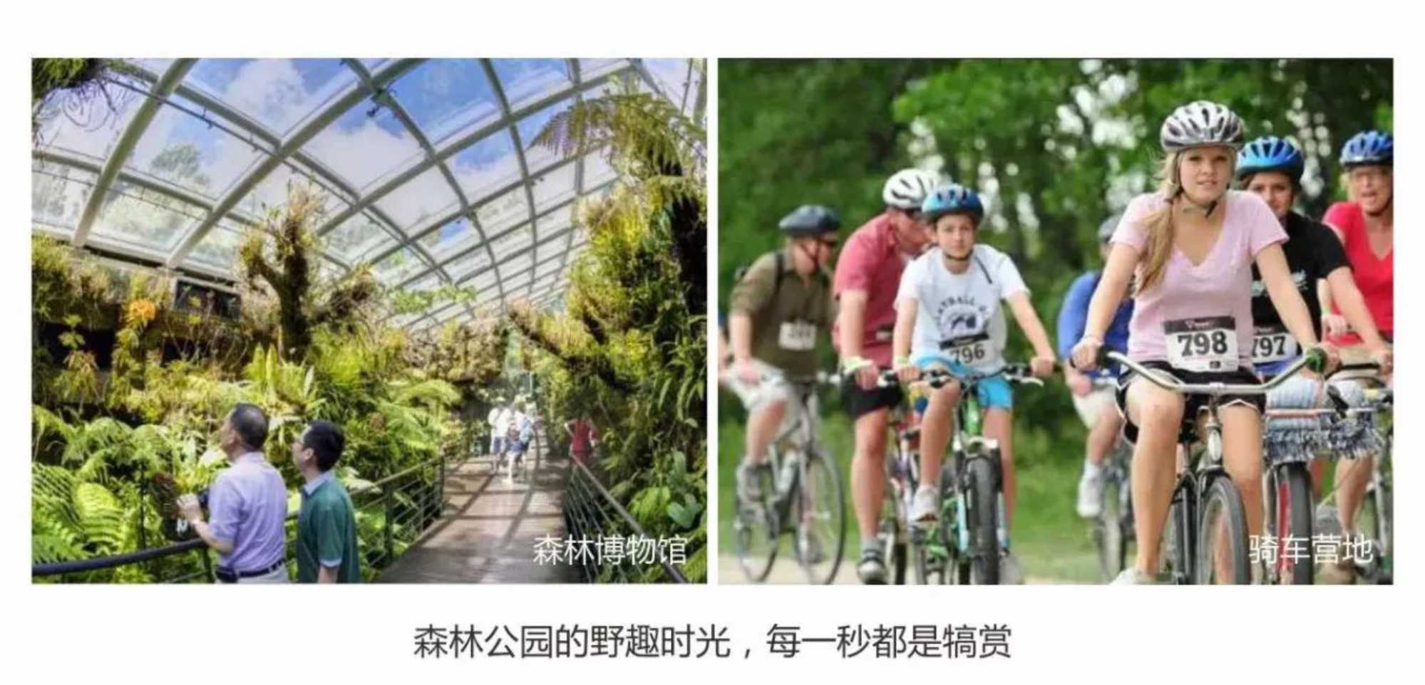 首页|尊龙集团中国官方网站