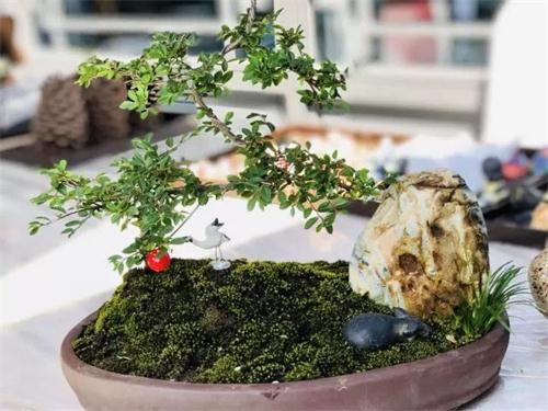 Ê×Ò³|×ðÁú¼¯ÍÅÖйú¹Ù·½ÍøÕ¾