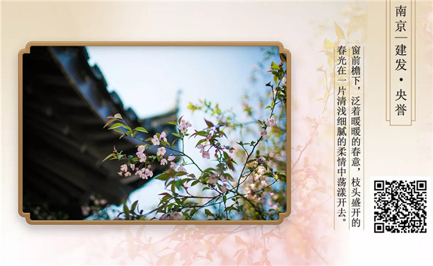 ��ҳ|���������й��ٷ���վ