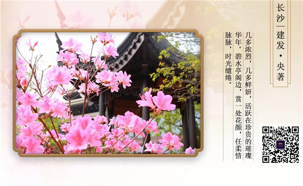 ��ҳ|���������й��ٷ���վ