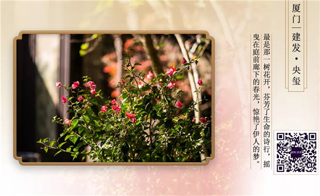 ��ҳ|���������й��ٷ���վ