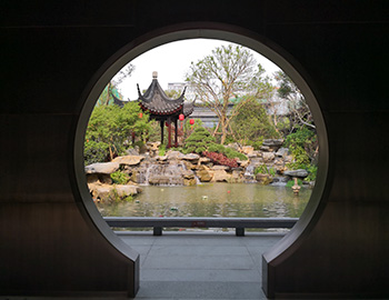 ������£������������������˸����١�