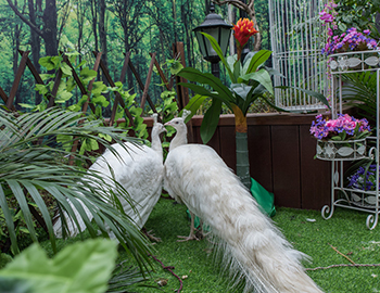 һȺ�����������ٴ���ҵ ��������ҳ|���������й��ٷ���վ����ɽ��԰2�ڡ�԰�ֿ�����������������2��Ӵ�5400��