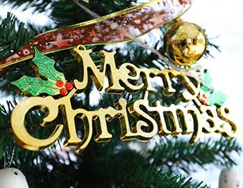 ����ҳ|���������й��ٷ���վ����ɽ��԰����������  Բ��ʥ��